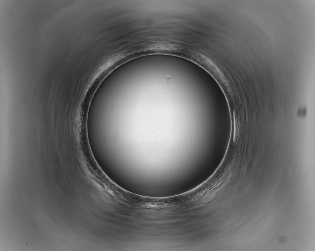 X0000099490435200805291110