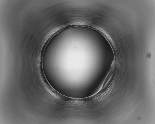 X0000099490437200805291110