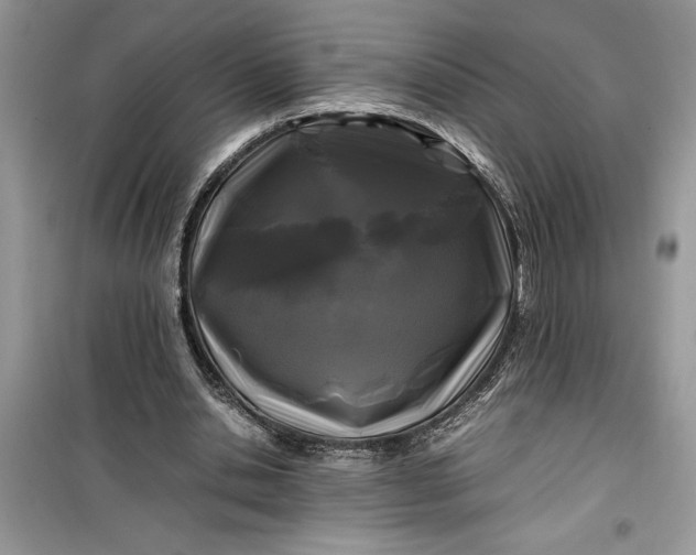 X0000099490438200805291110