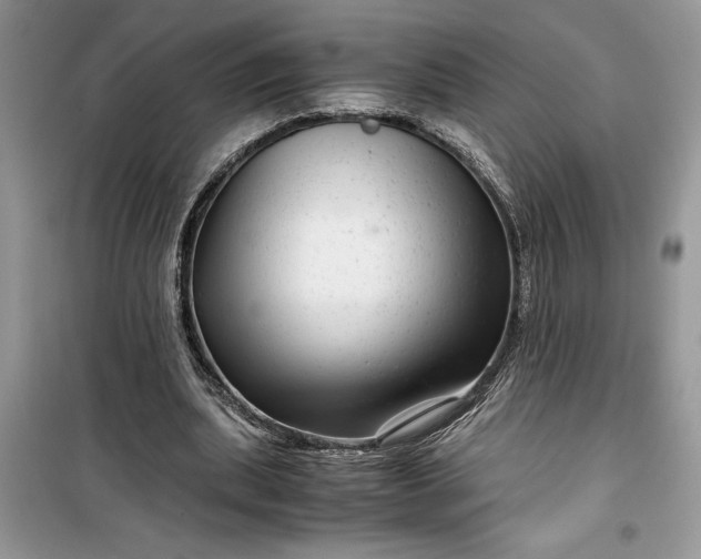 X0000099490439200805291110