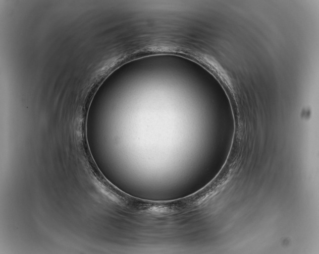 X0000099490441200805291110