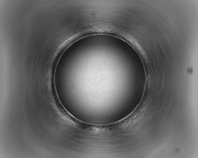 X0000099490442200805291110