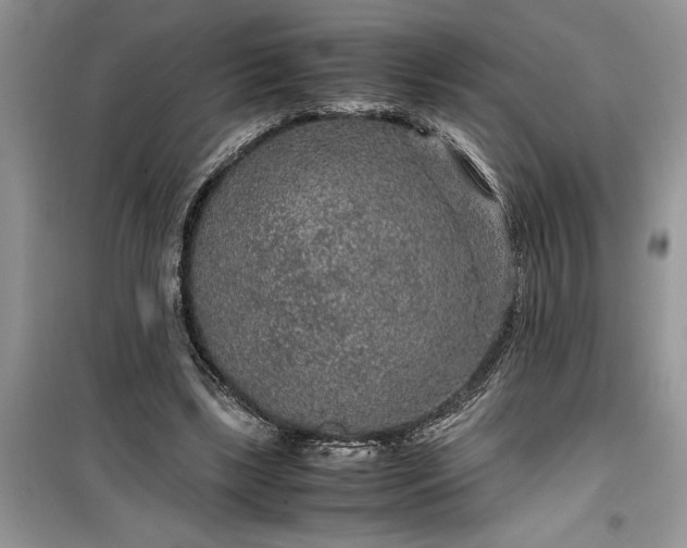 X0000099490443200805291110