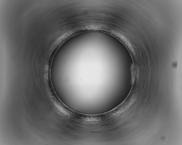 X0000099490445200805291110