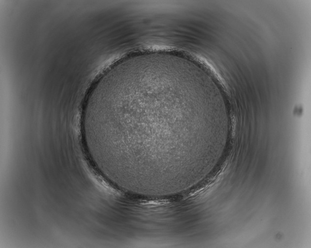 X0000099490447200805291110