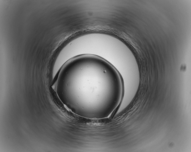 X0000099490448200805291110