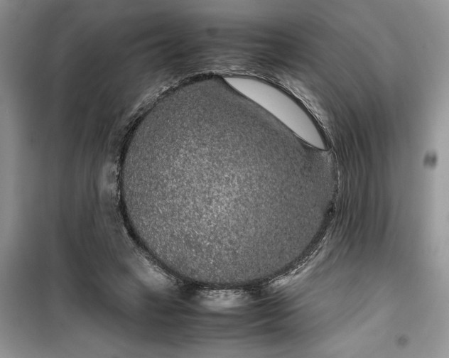 X0000099490449200805291110