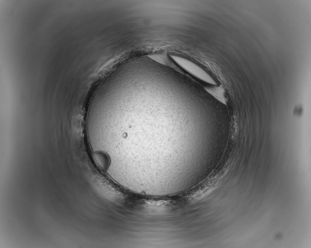 X0000099490450200805291110