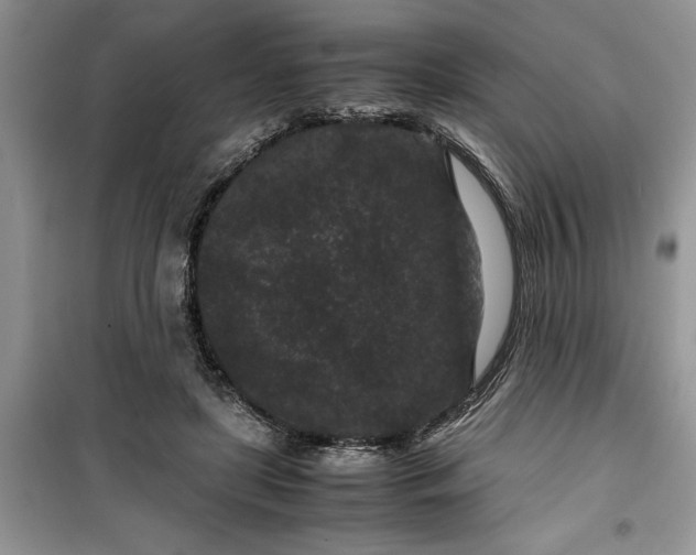 X0000099490451200805291110