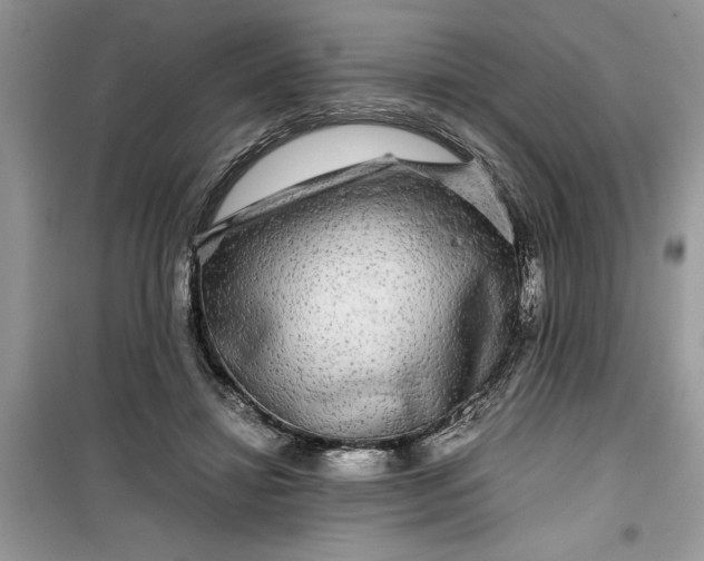 X0000099490452200805291110