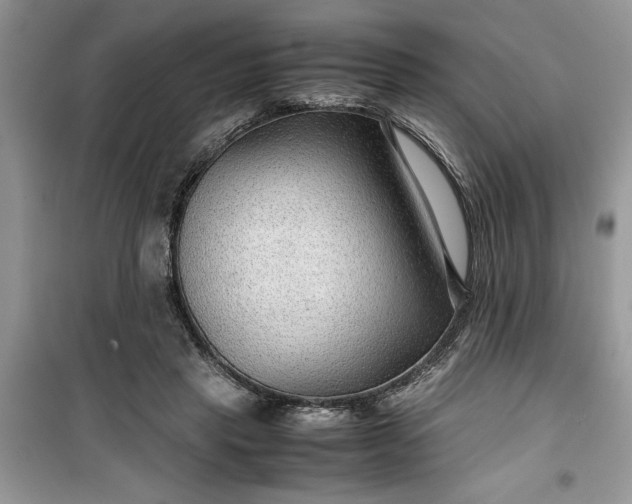 X0000099490453200805291110