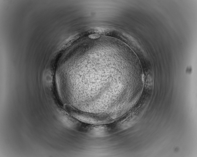 X0000099490456200805291110