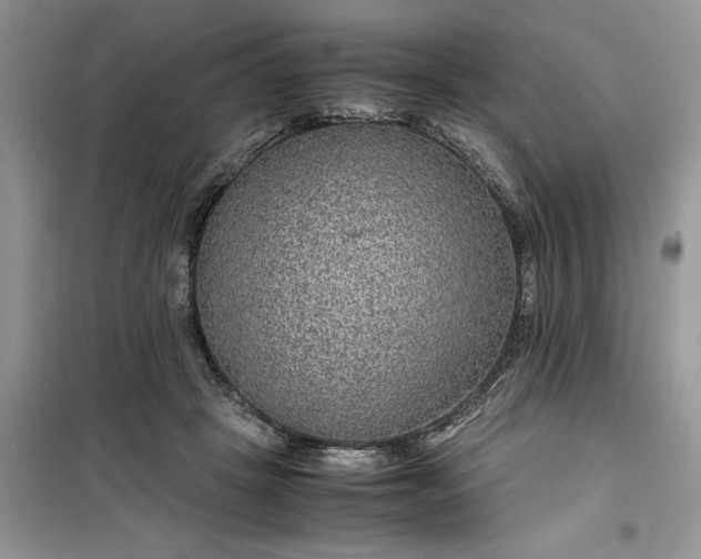 X0000099490457200805291110