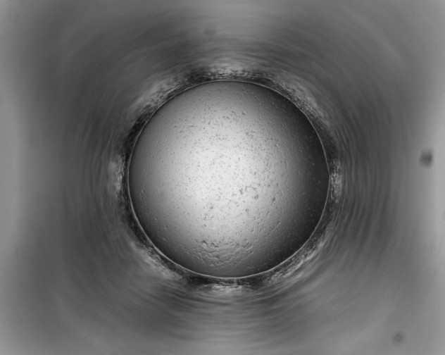 X0000099490458200805291110