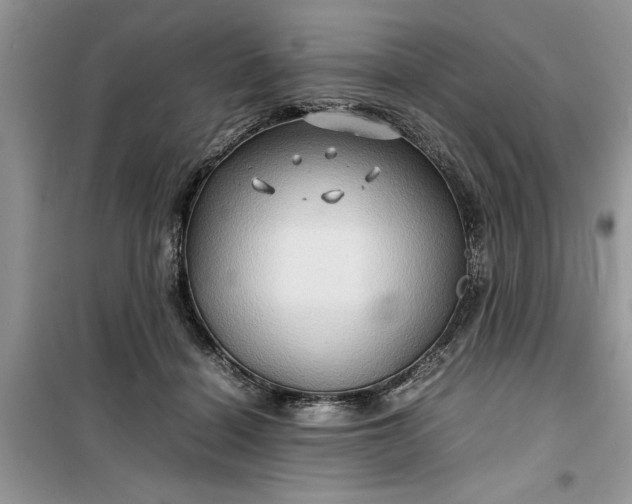 X0000099490460200805291110