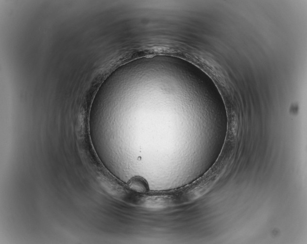 X0000099490461200805291110