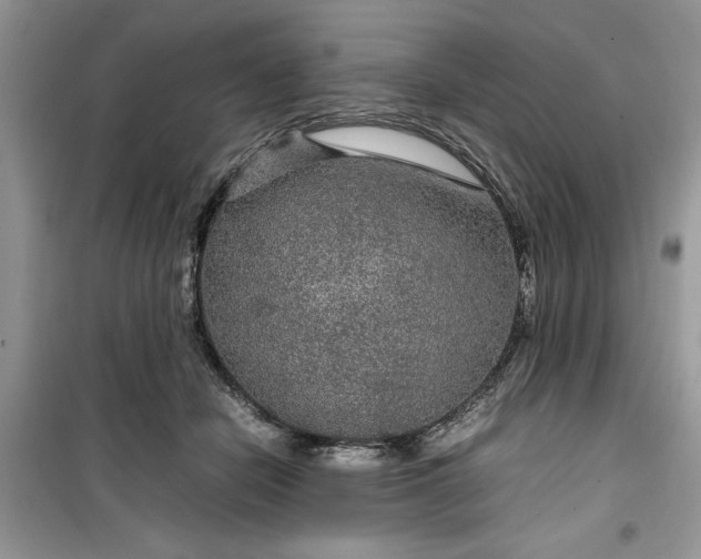 X0000099490462200805291110