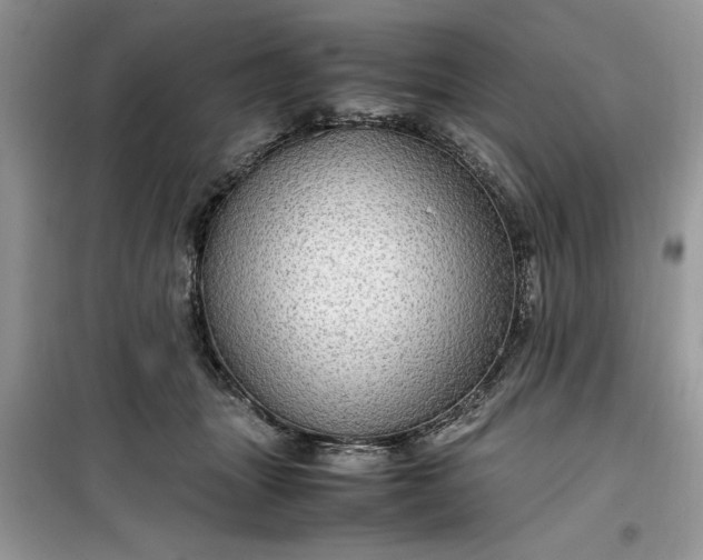 X0000099490463200805291110