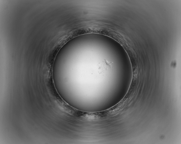 X0000099490464200805291110