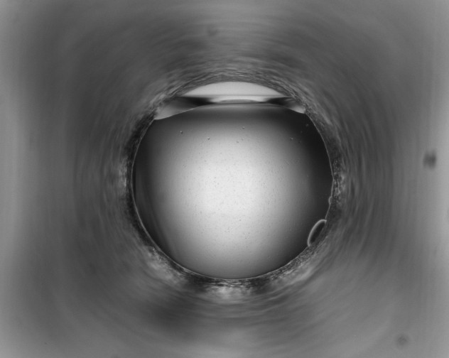 X0000099490466200805291110