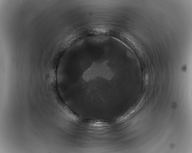 X0000099490467200805291110