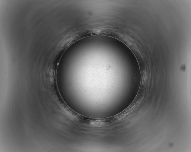 X0000099490470200805291110