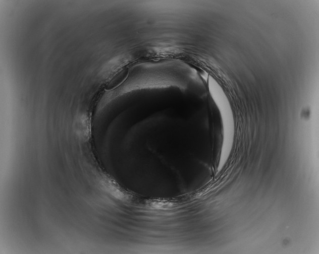 X0000099490471200805291110