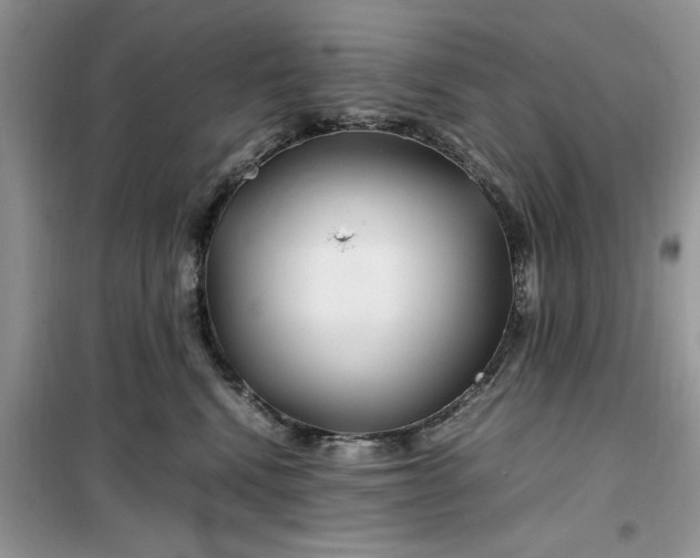 X0000099490472200805291110