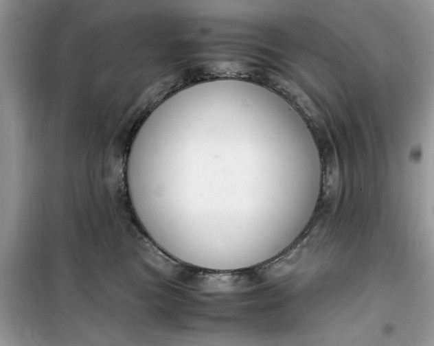 X0000099490473200805291110