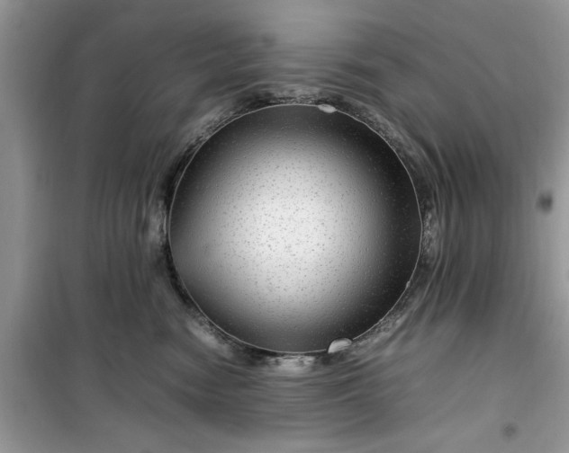 X0000099490474200805291110