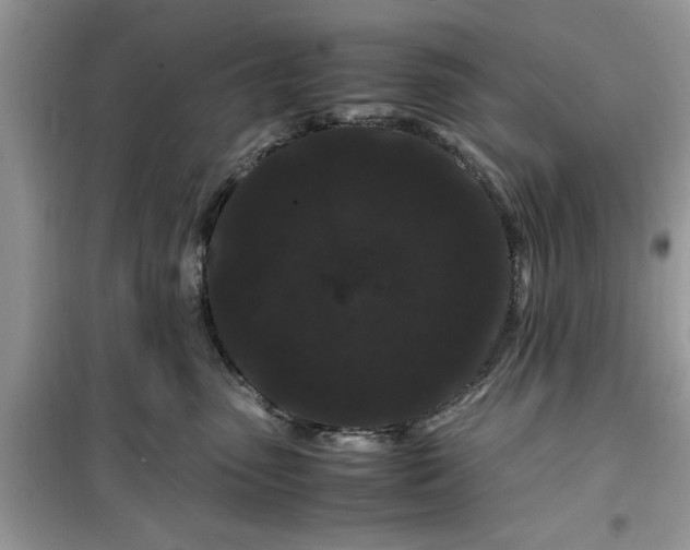 X0000099490475200805291110