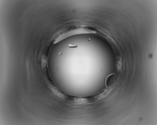 X0000099490476200805291110