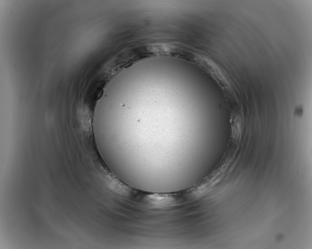 X0000099490477200805291110