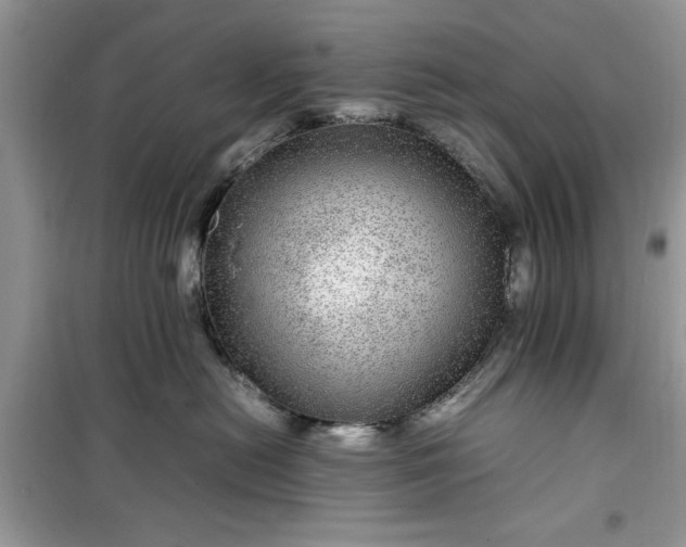 X0000099490478200805291110