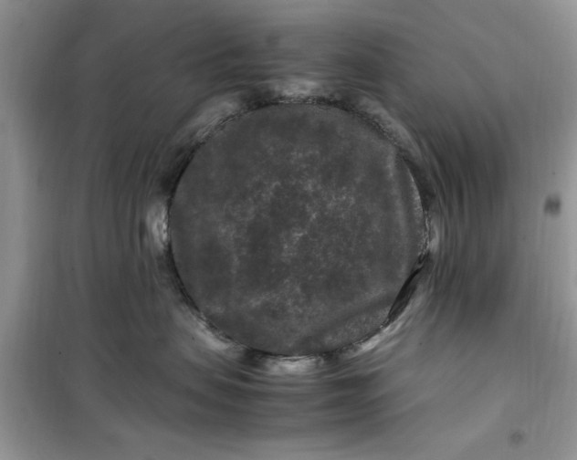 X0000099490479200805291110