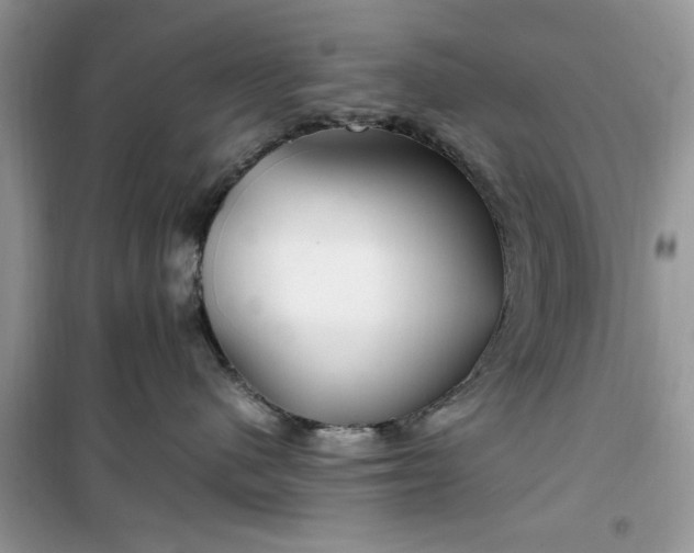 X0000099490480200805291110