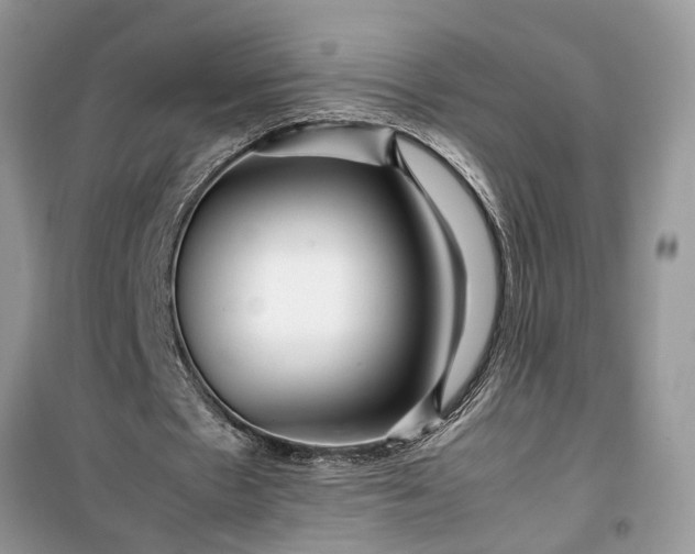 X0000099490481200805291110