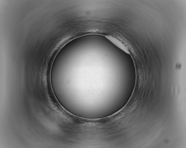 X0000099490482200805291110