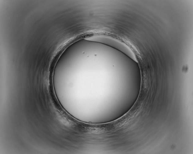 X0000099490486200805291110