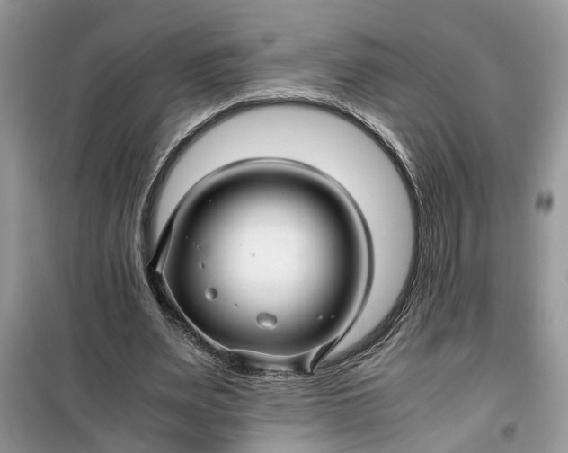 X0000099490487200805291110