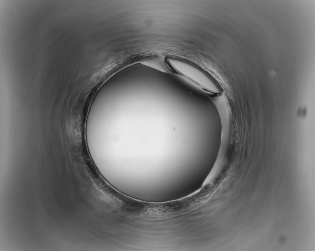 X0000099490489200805291110