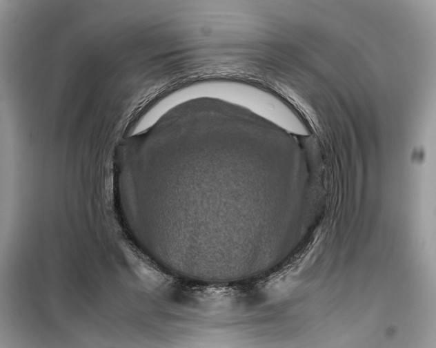 X0000099490493200805291110