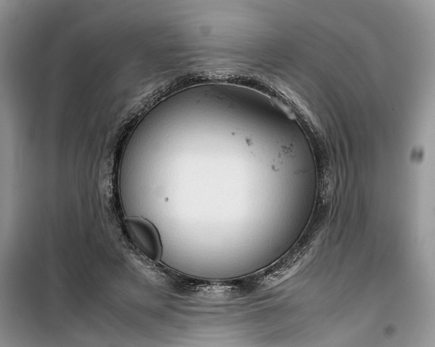 X0000099490497200805291110