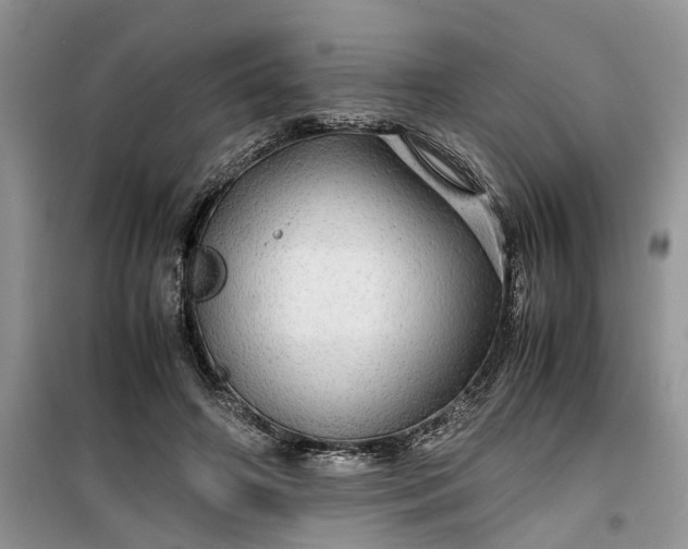 X0000099490498200805291110