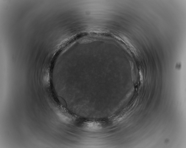 X0000099490500200805291110