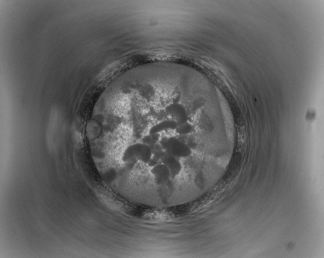 X0000099490503200805291109