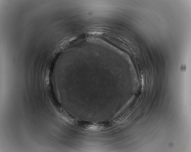 X0000099490504200805291109