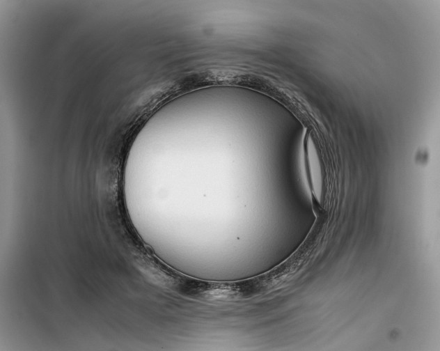 X0000099490505200805291109