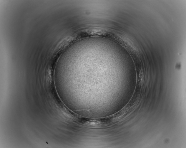 X0000099490506200805291109