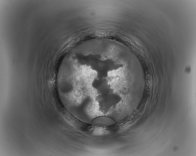 X0000099490507200805291109